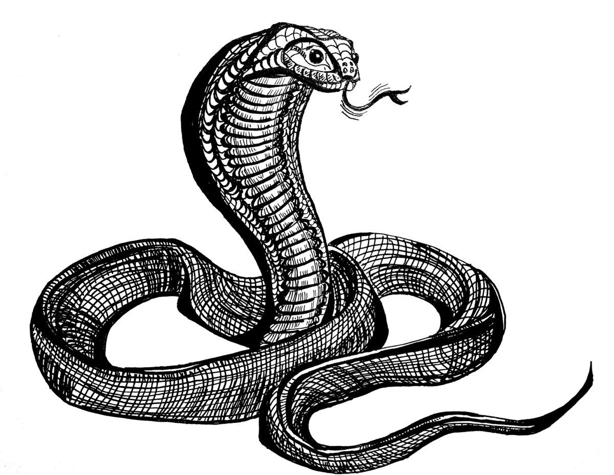 змея эскиз фото