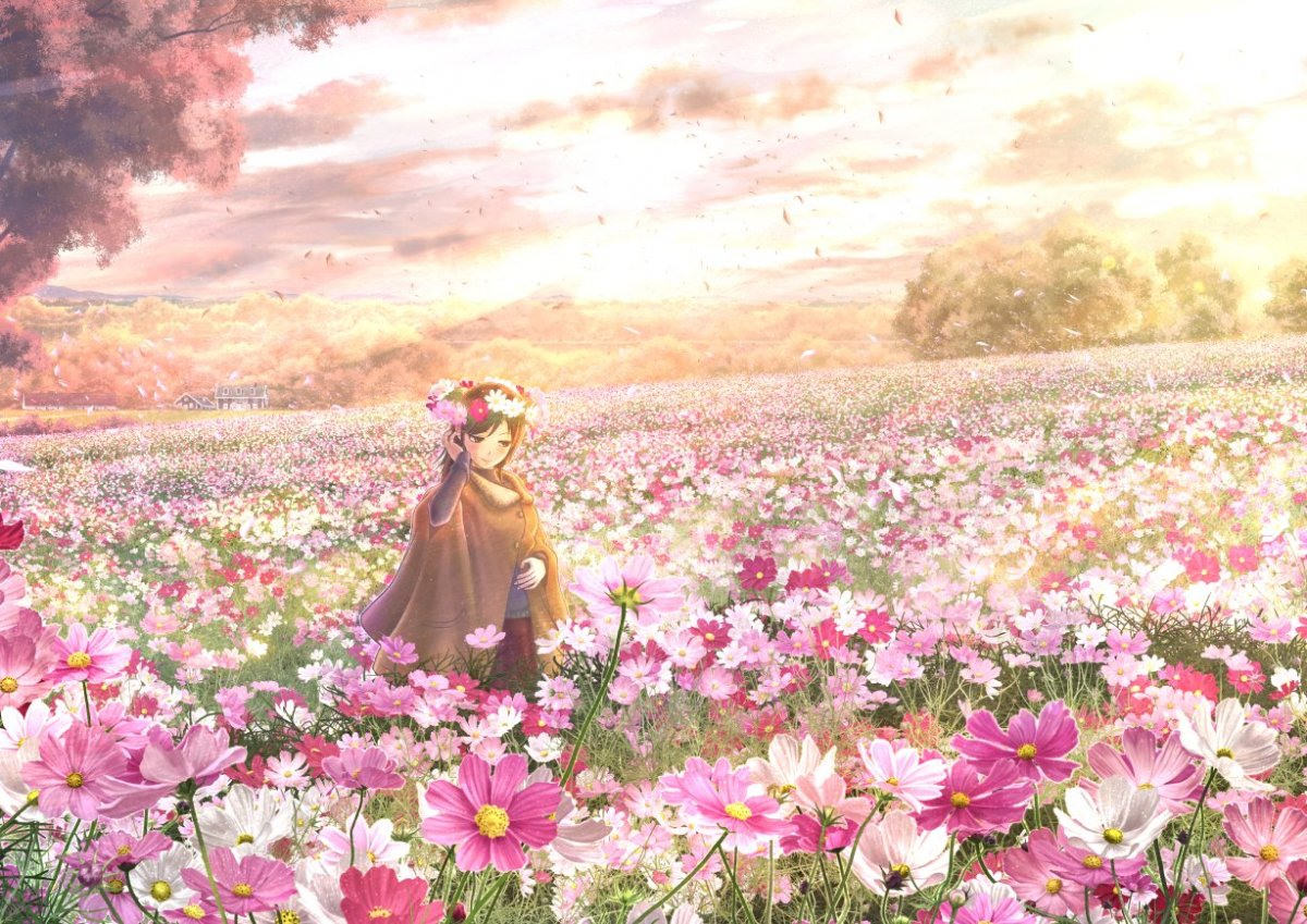 Фон аниме поле с цветами (100 фото)
