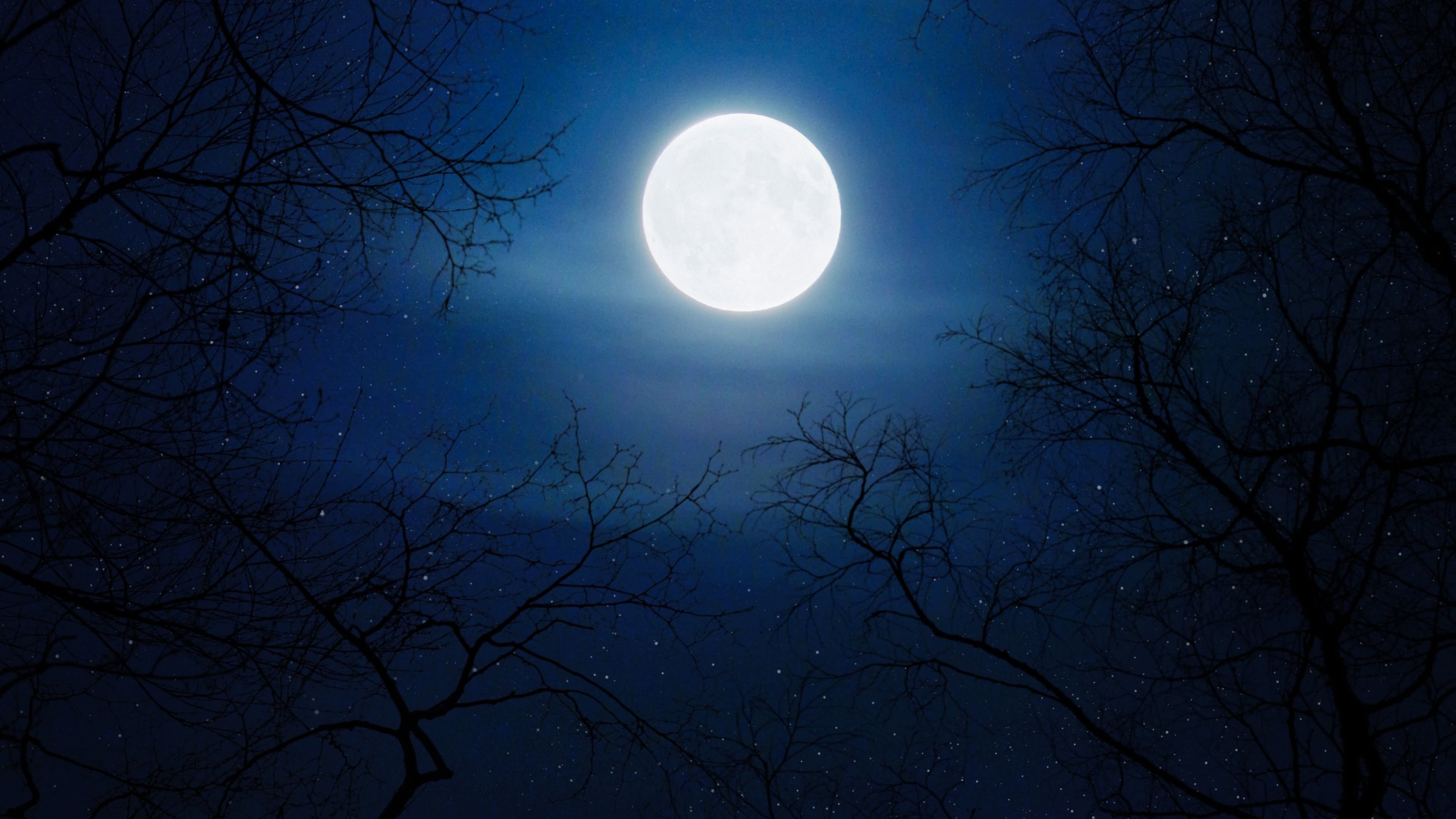 Ночь с луной 4