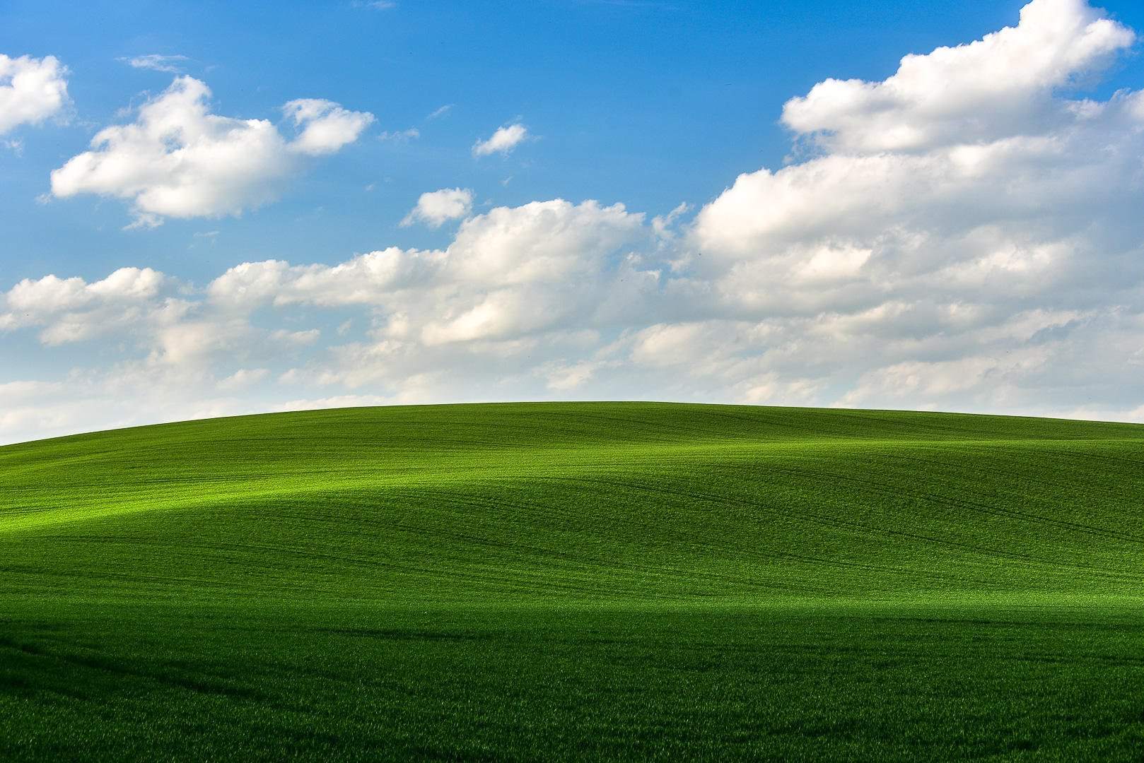 Фон windows xp. Зеленое поле. Windows поле. Фон виндовс XP. Поле Windows XP.