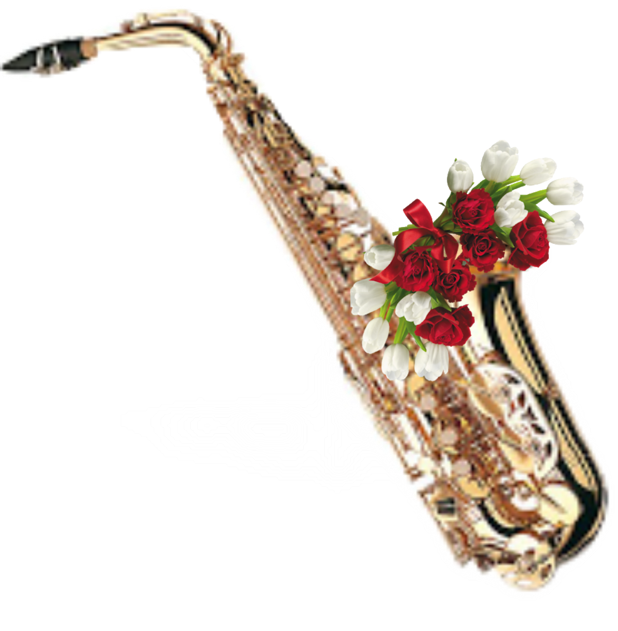 Саксофон. Саксофон музыкальный инструмент. Цветы саксофонисту. Саксофон и цветы. Музыка скрипка и саксофон