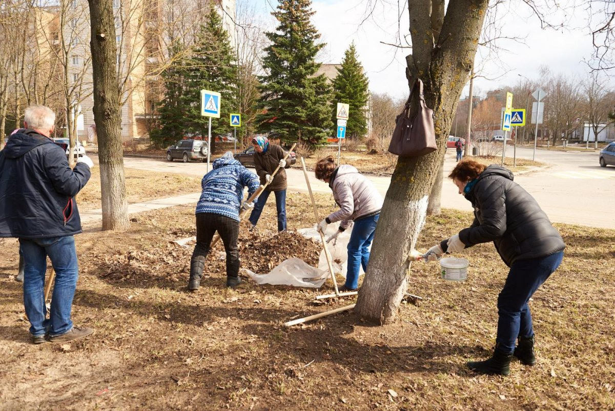 Субботник в парке картинки