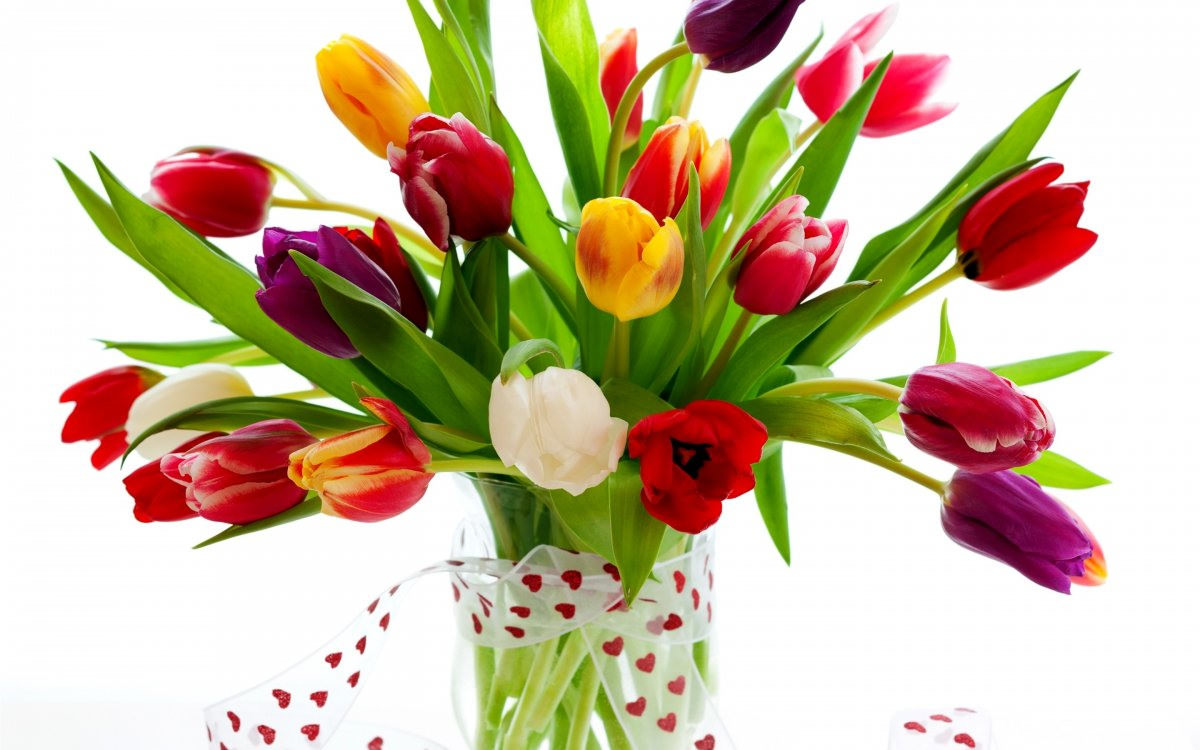 Фон тюльпаны в вазе (60 фото)