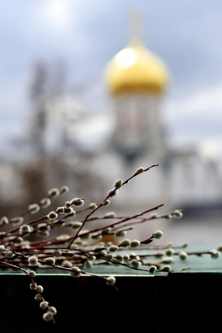 Фото с вербным воскресеньем красивые