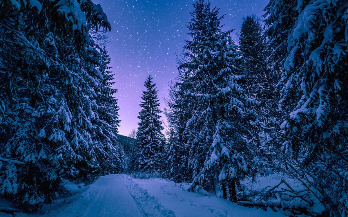 Фон зимняя ночь (65 фото)