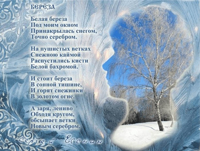 Иллюстрации к стихотворению "Белая береза" Есенина (75 фото)