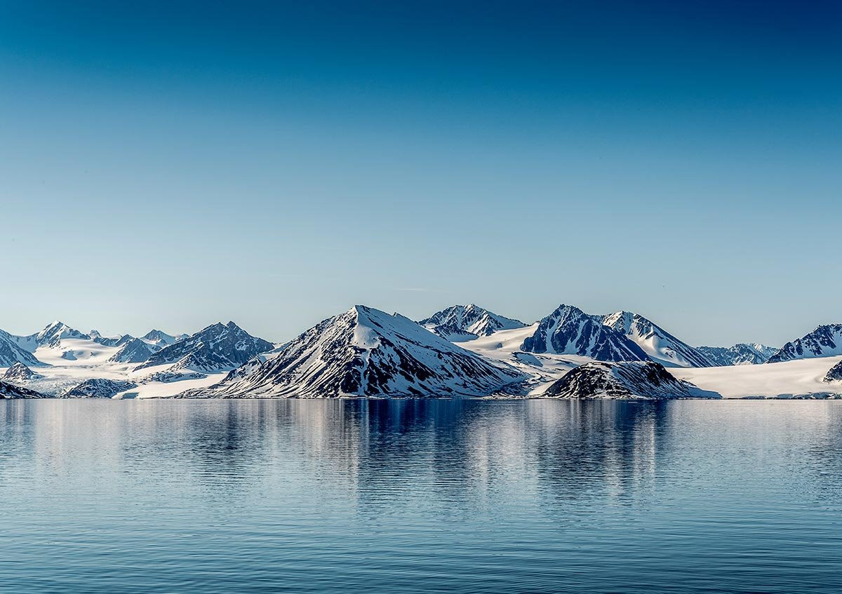 Картинки Арктика (70 фото)