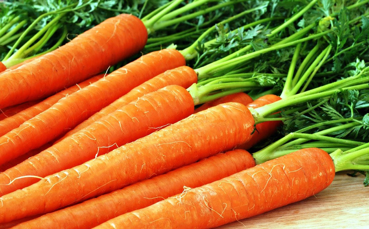 Картинки морковь (100 фото)