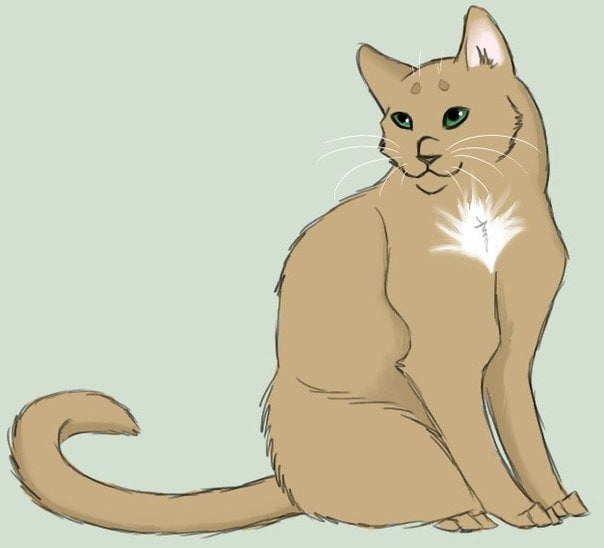 Картинки "Коты-воители" - рисунки для срисовки (30 фото)