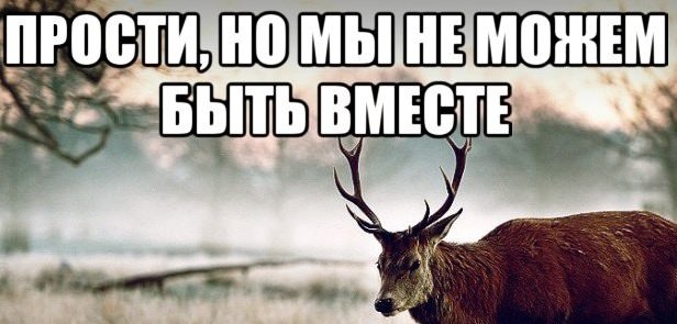 Мы не будем вместе