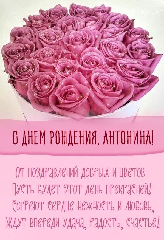 Картинки "С Днем Рождения, Антонина" (50 открыток)