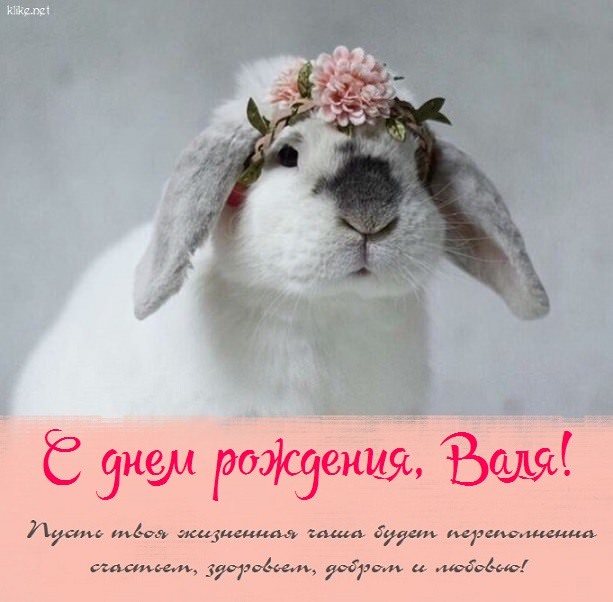 Картинки 