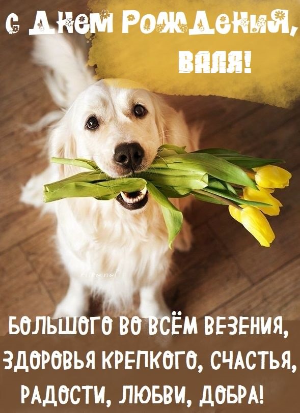 Картинки 