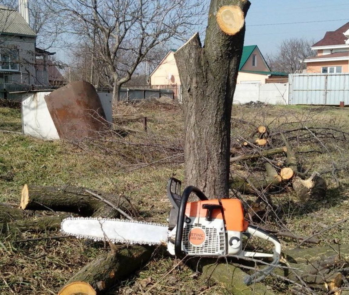 Убрать спиленные деревья