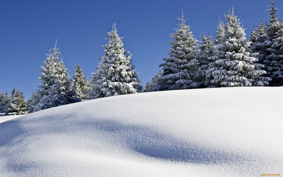Картинки сугробы снега (60 фото)