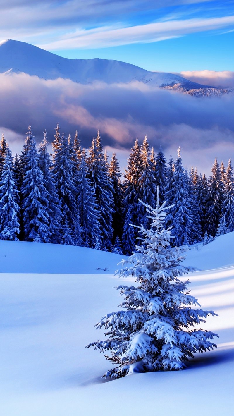 Картинки зима на заставку телефона (100 фото)