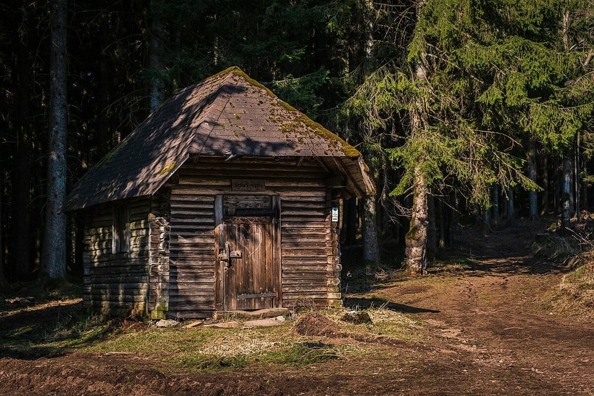 Хижина в лесу фото картинки