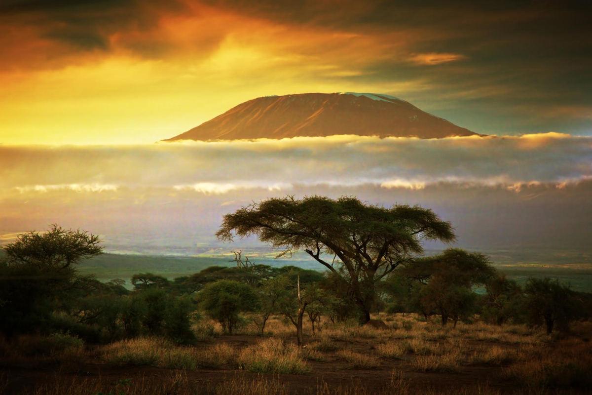 Красивые картинки Африки (100 фото)