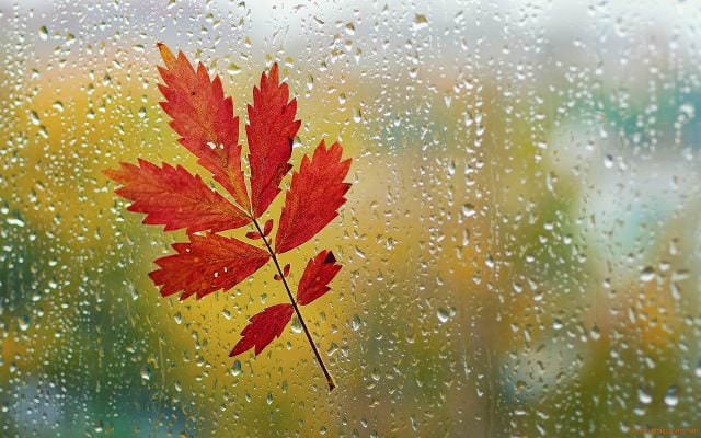 Красивые картинки осень за окном (100 фото)
