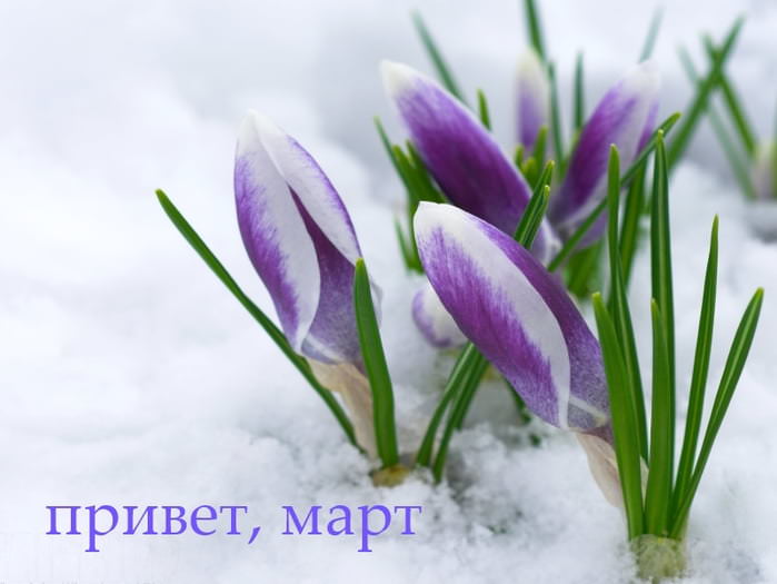 Красивые картинки про март (100 фото)