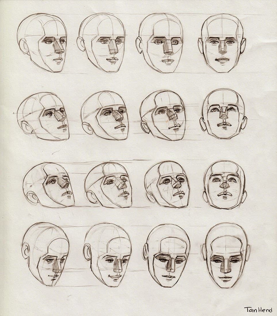 Как рисовать голову в ракурсе. Анатомия человека референс головы. Анатомический референс лица. Рисование лица в разных ракурсах. Рисование головы в разных ракурсах.