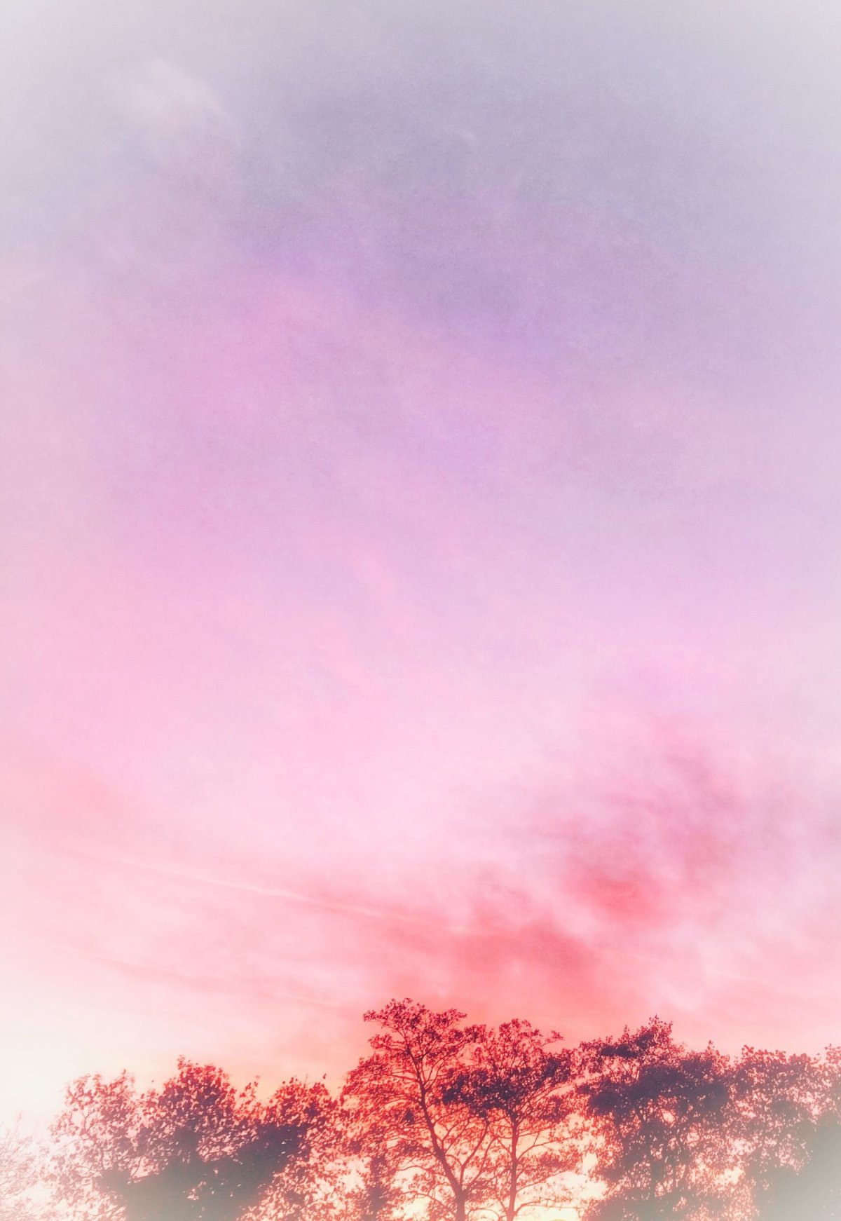 Нежно-розовый фон для "Инстаграм" (75 фото)