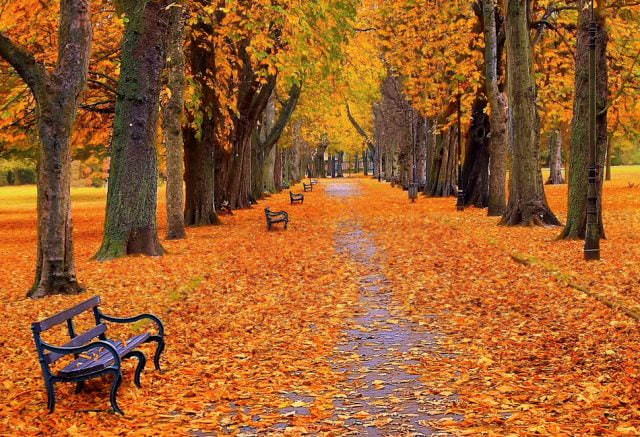 Осень - красивые картинки (100 фото)