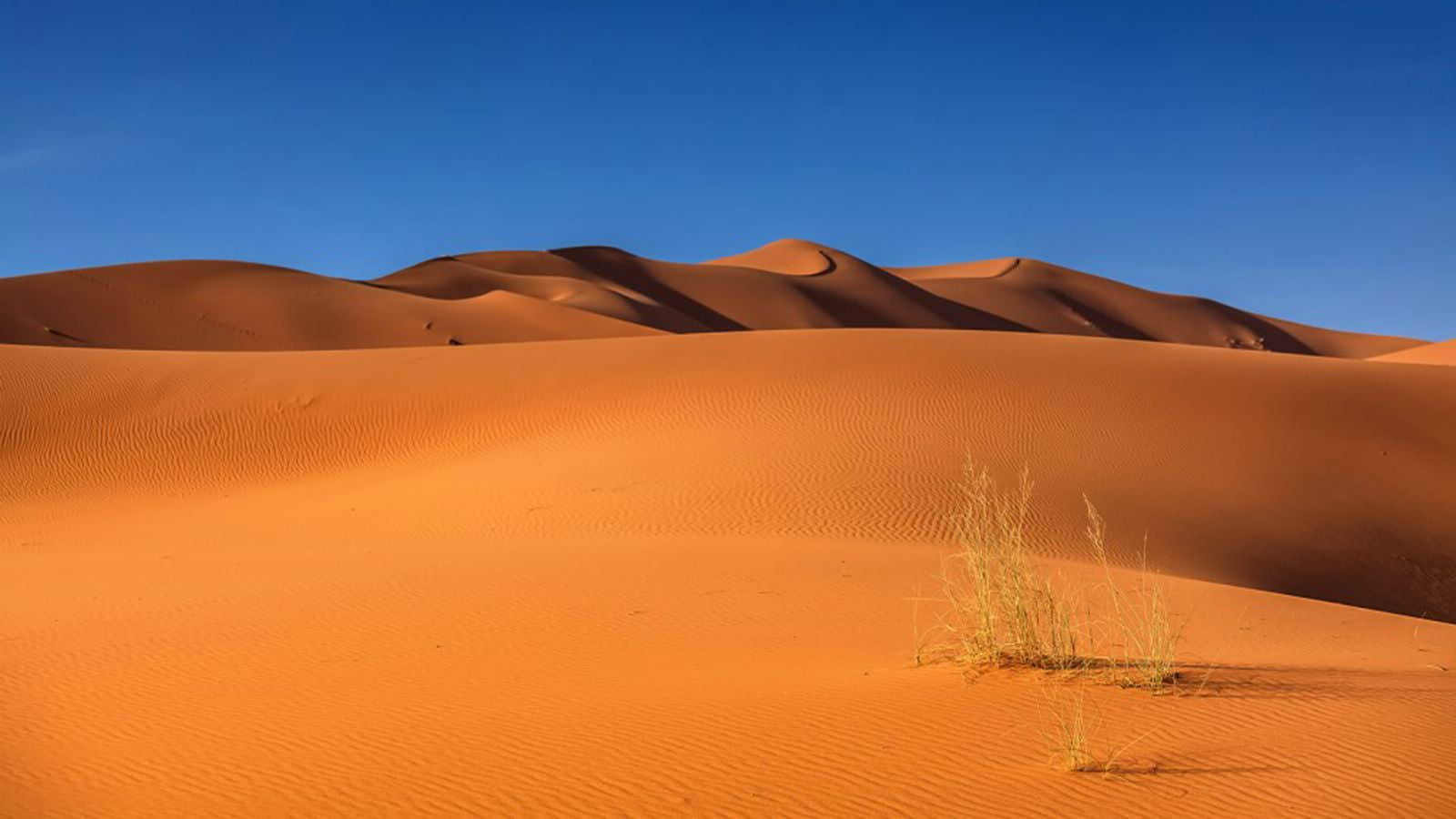 Пустыня - красивые картинки (100 фото)