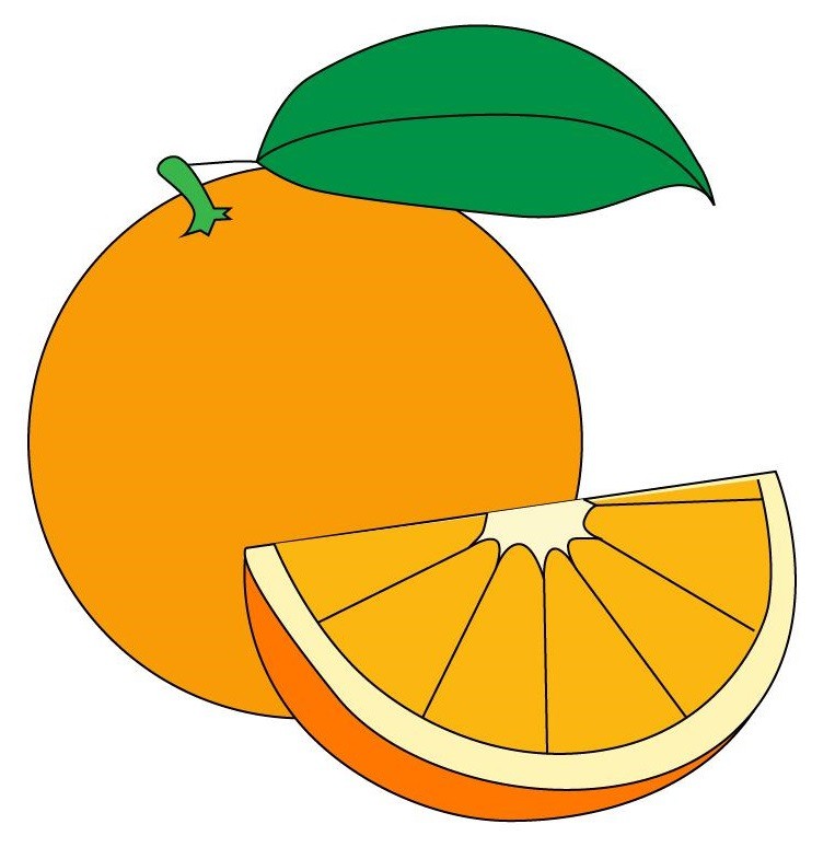Рисунки апельсина для срисовки (30 фото)