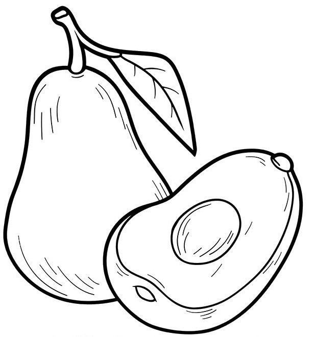 Рисунки авокадо для срисовки (85 фото)