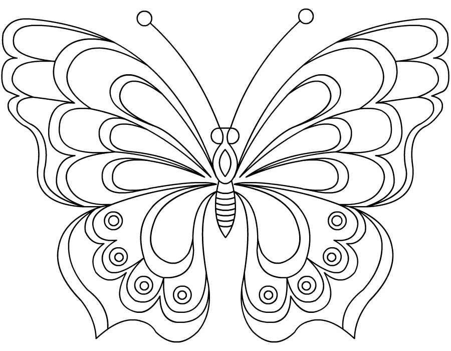 Рисунки бабочек для срисовки (100 фото)