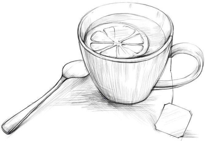 Рисунки чая для срисовки (15 фото)