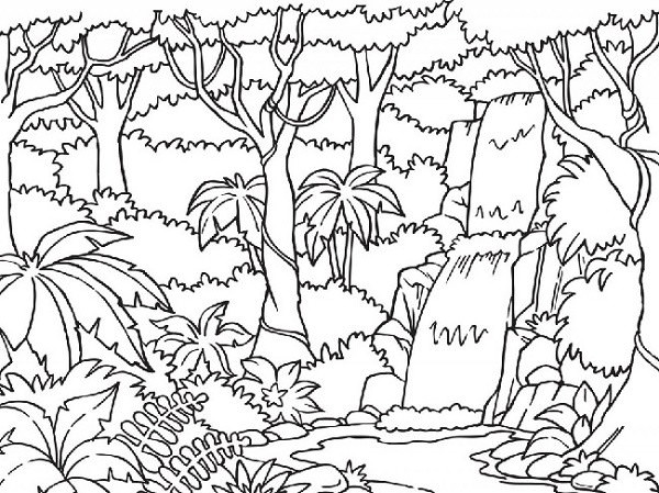 Рисунки джунглей для срисовки (20 фото)
