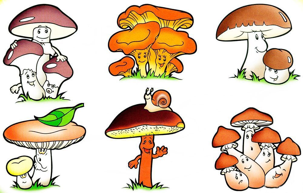 Рисунки грибов для срисовки (35 фото)