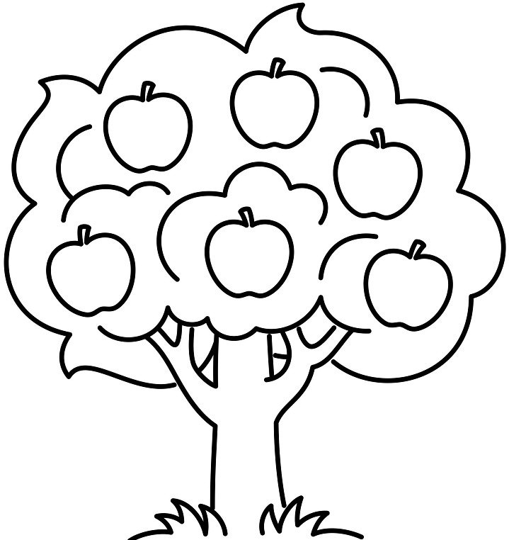 Рисунки яблони для срисовки (20 фото)