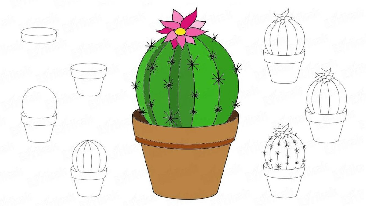 Рисунки кактусов для срисовки (100 фото)