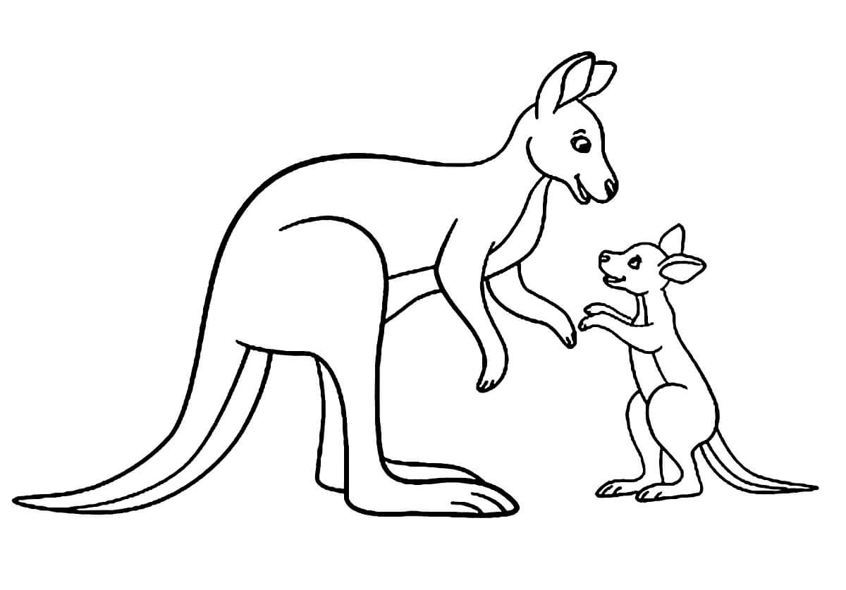 Рисунки кенгуру для срисовки (35 фото)