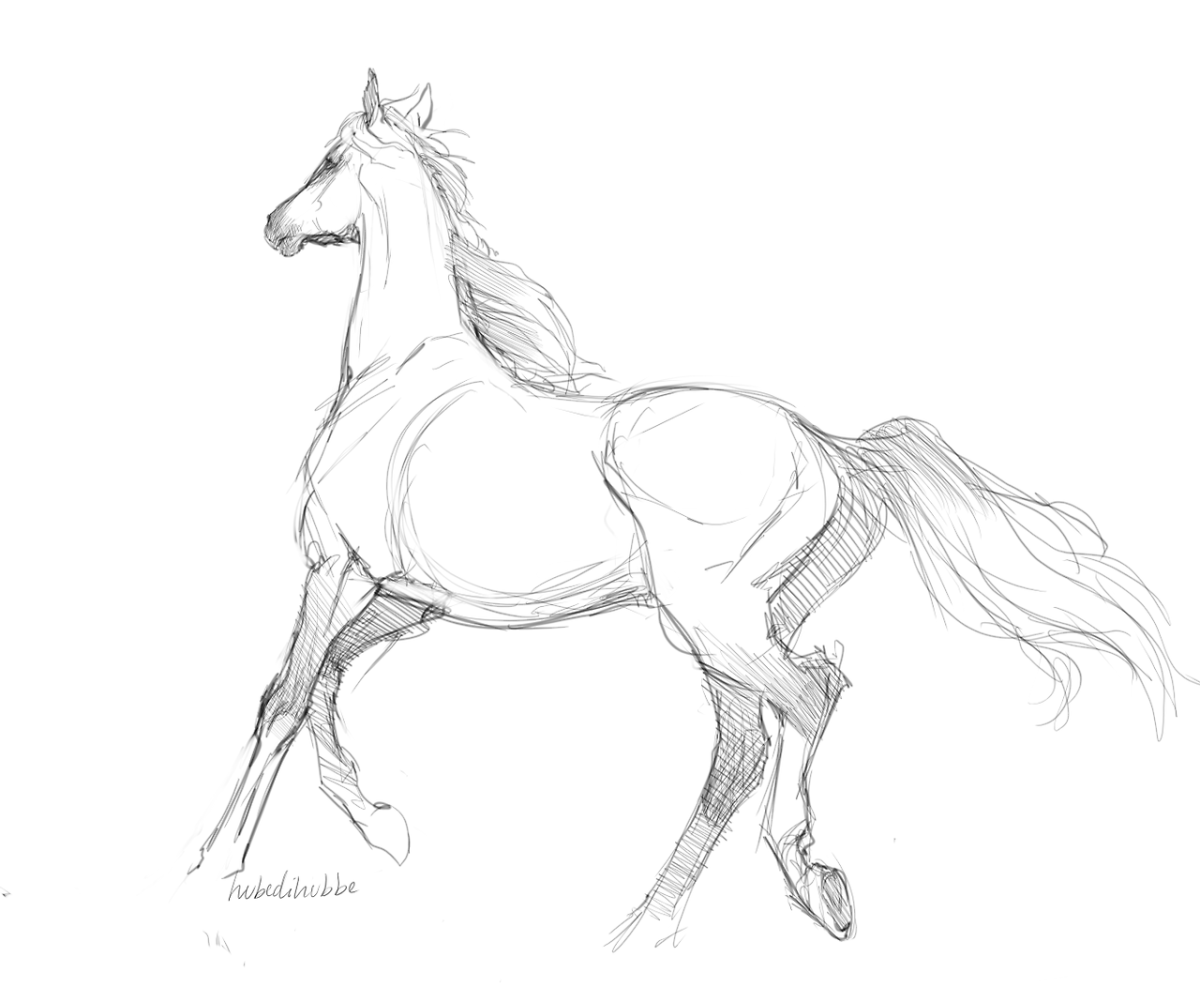 Рисунки коня для срисовки (100 фото)