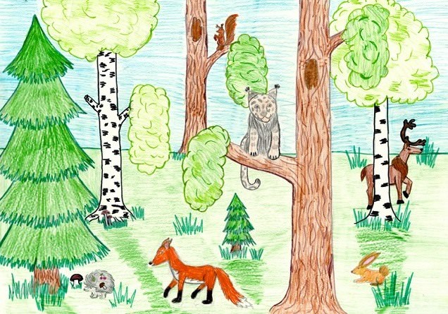 Рисунки леса для срисовки (100 фото)