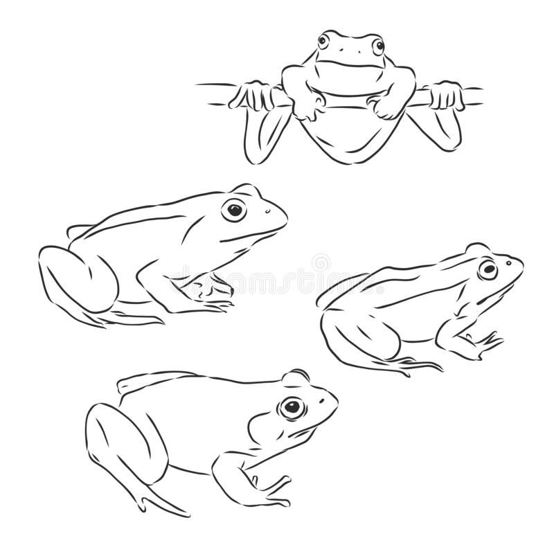 Рисунки лягушки для срисовки (100 фото)
