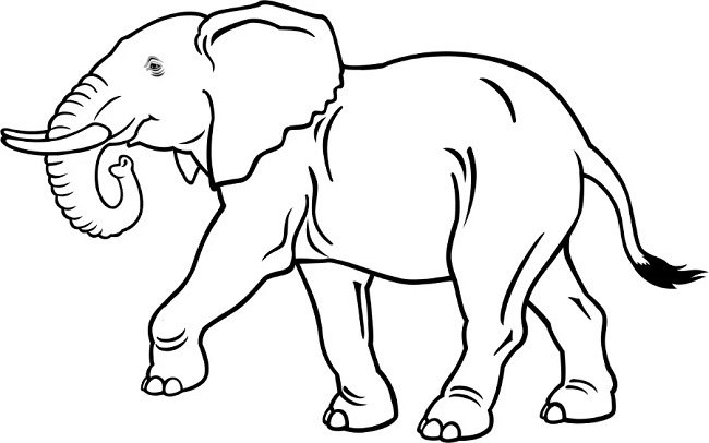 Рисунки слона для срисовки (35 фото)