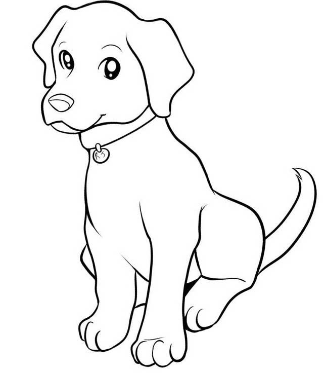 Рисунки собак для срисовки (100 фото)
