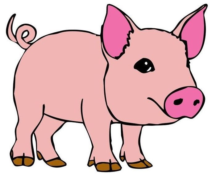 Рисунки свиней для срисовки (35 фото)