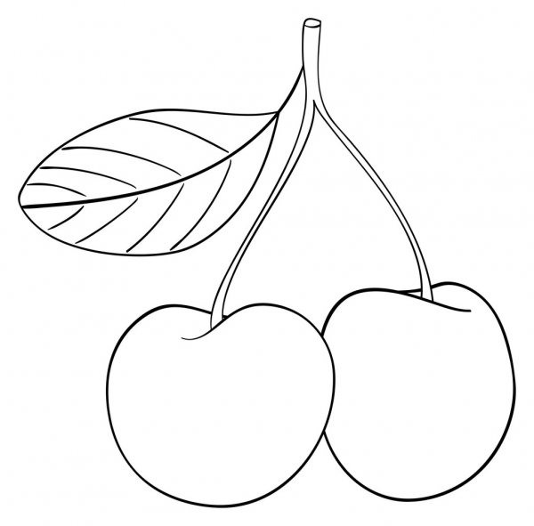 Рисунки вишни для срисовки (30 фото)
