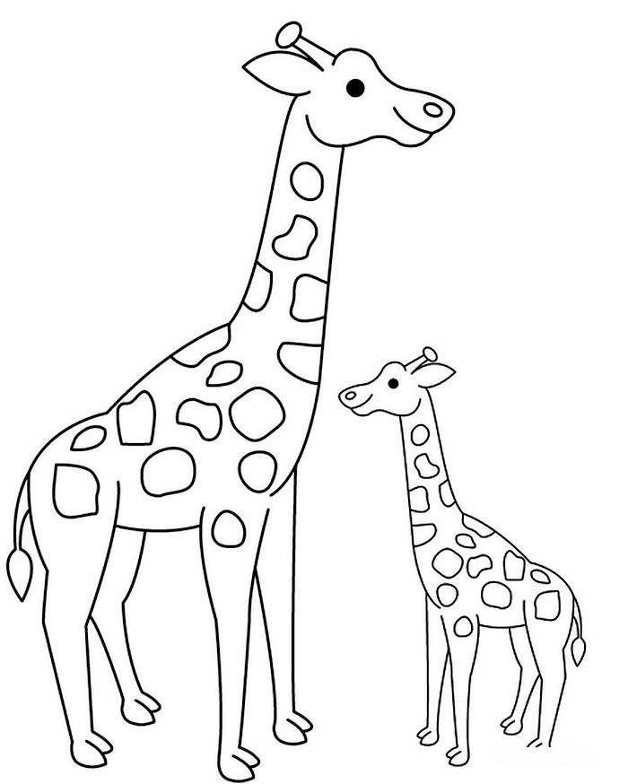 Рисунки жирафа для срисовки (100 фото)