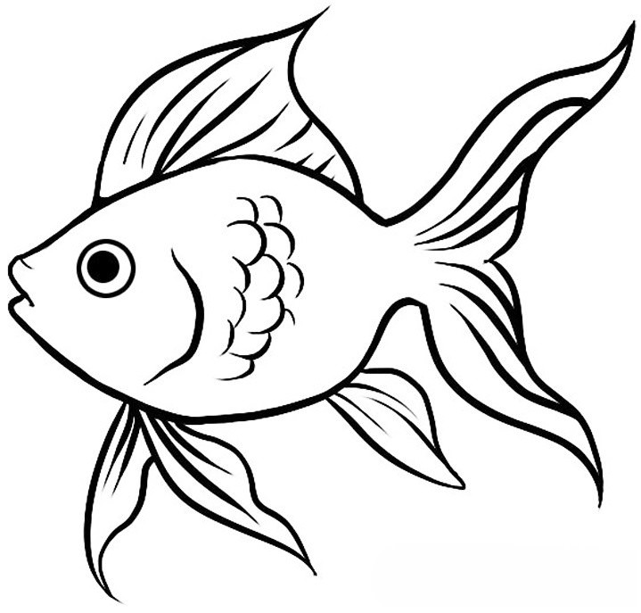 Рисунки золотой рыбки для срисовки (20 фото)