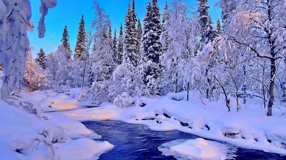 Самые красивые зимние картинки (100 фото)