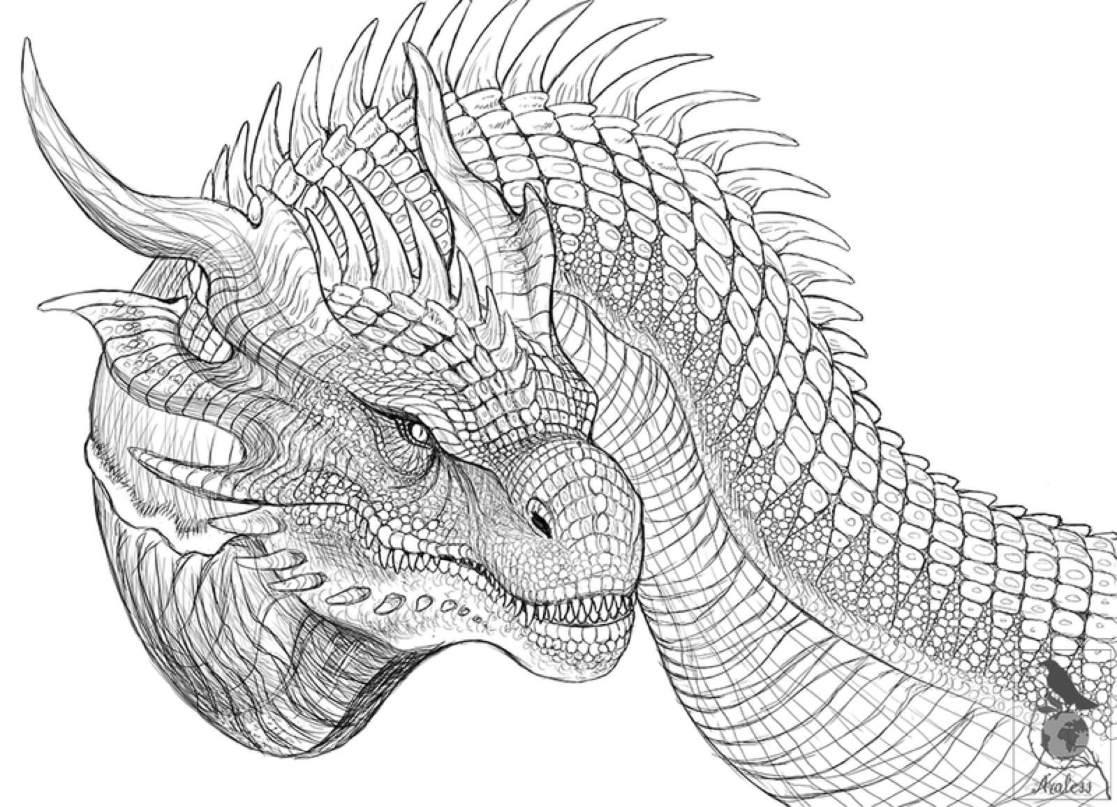 Дракон нарисовать сложно. Дракон рисунок. Дракон скетч. Дракон линейный эскиз. Морда дракона карандашом.