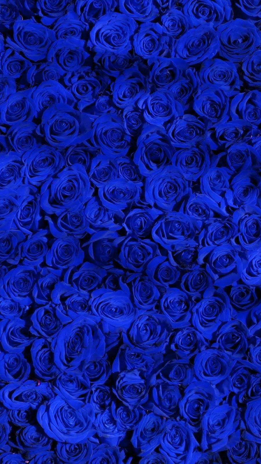 Темно-синий фон (75 фото)