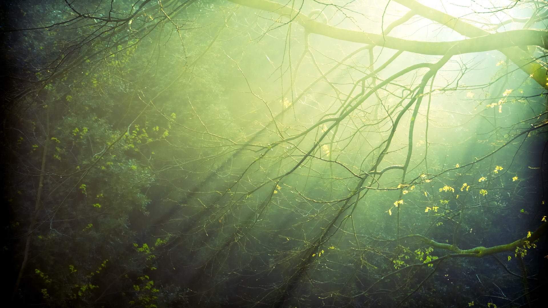Фон природа для фотошопа
